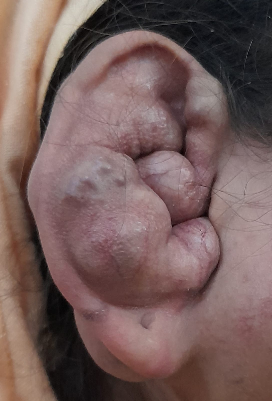 WhatsApp Image 2024-12-22 at 1.56.06 AM (1)