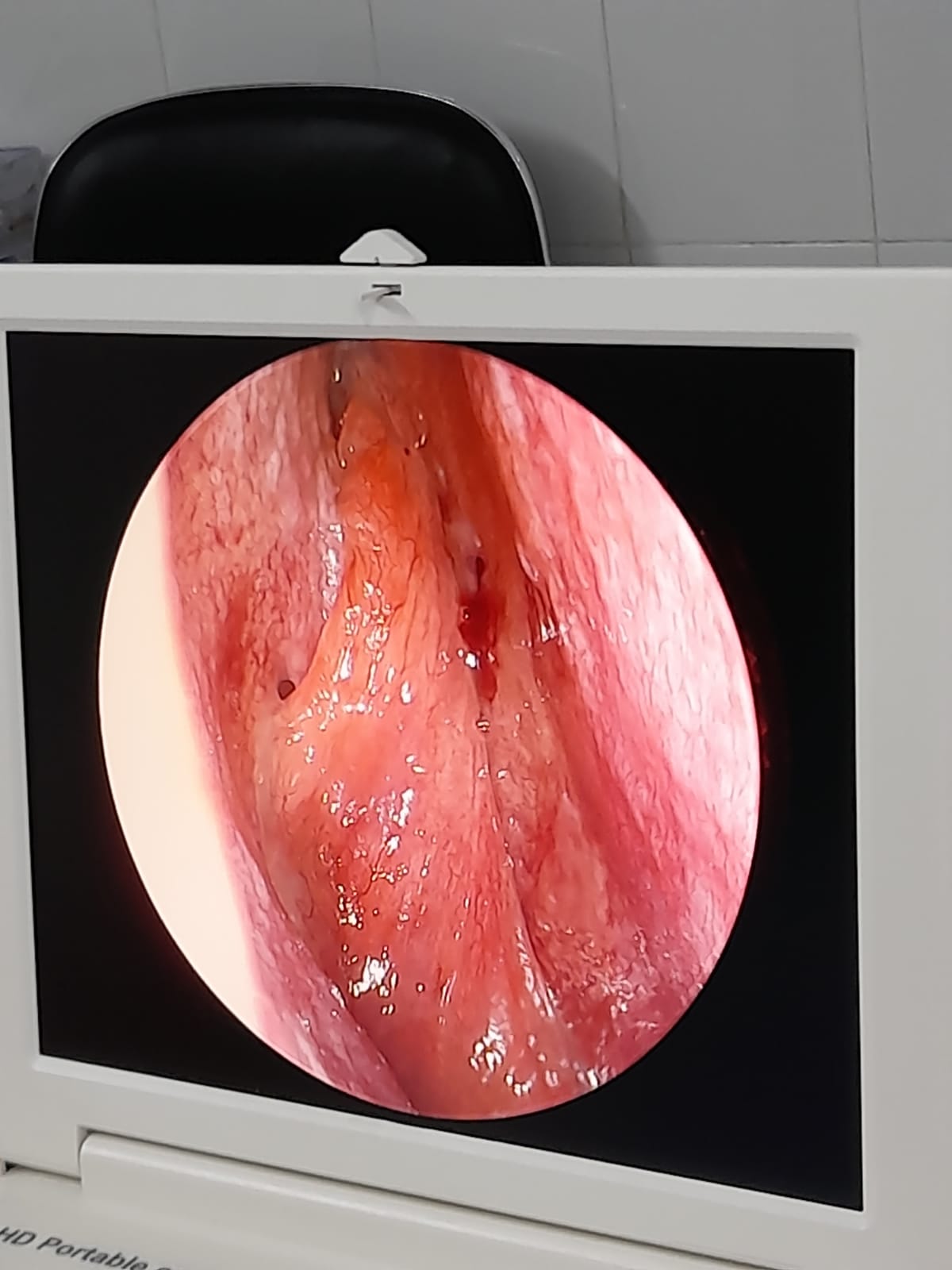 2afc4772-bde2-47b2-95bc-4f5b151cd78f