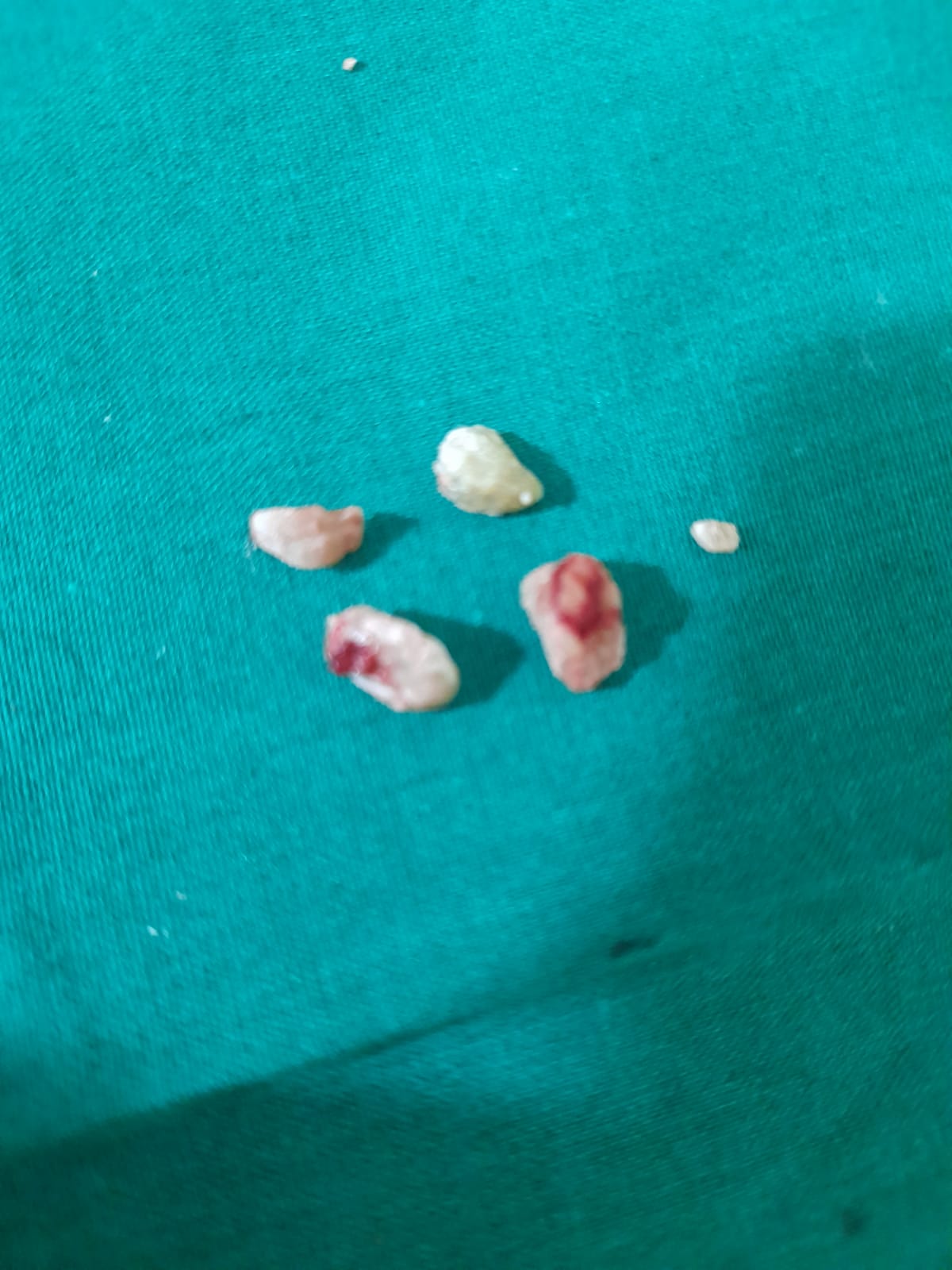 5144959c-c7a3-496c-ab8d-8d0df741ab92