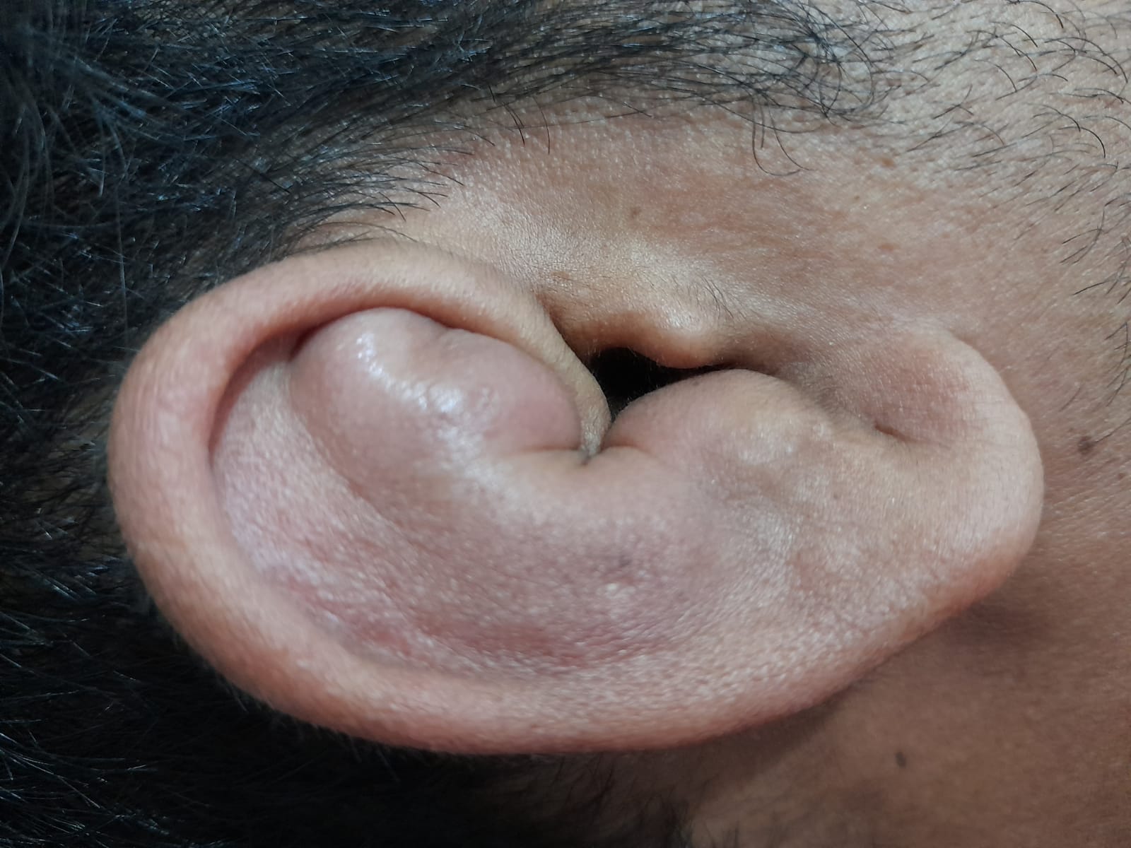 7384ceaa-6fda-494f-8440-13ea8c1fa1a2