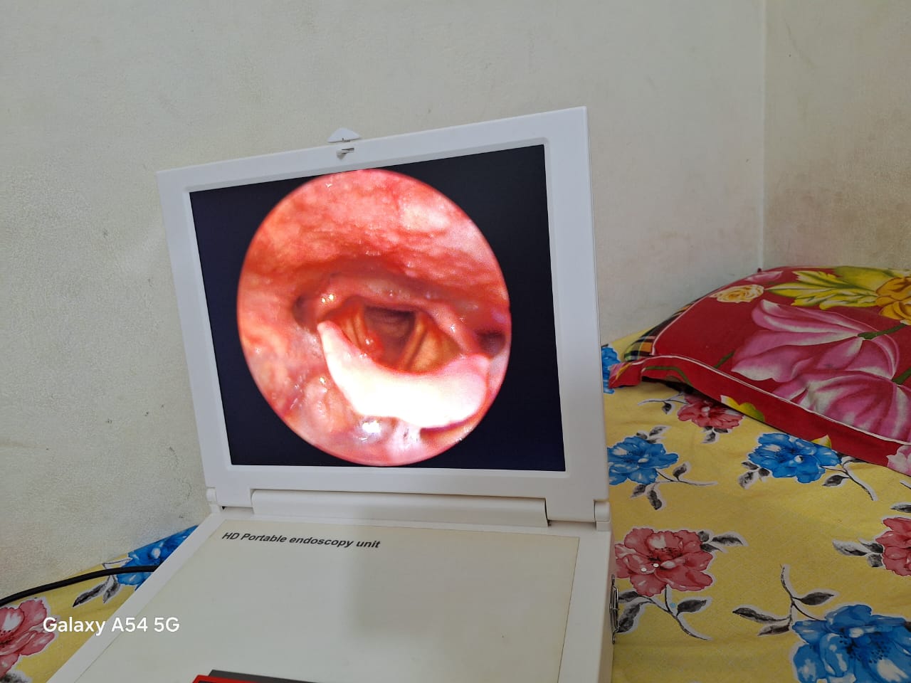 WhatsApp Image 2024-12-22 at 1.56.07 AM