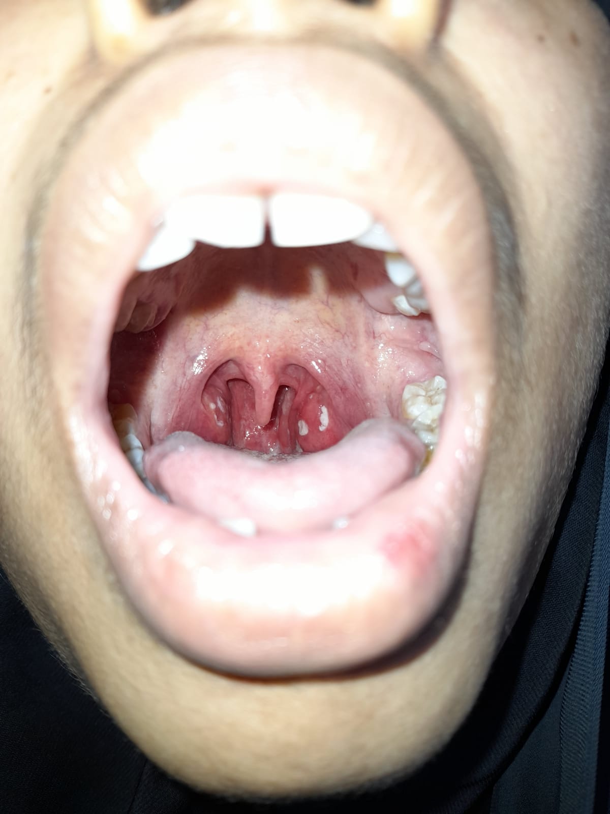 WhatsApp Image 2024-12-22 at 1.56.11 AM (1)