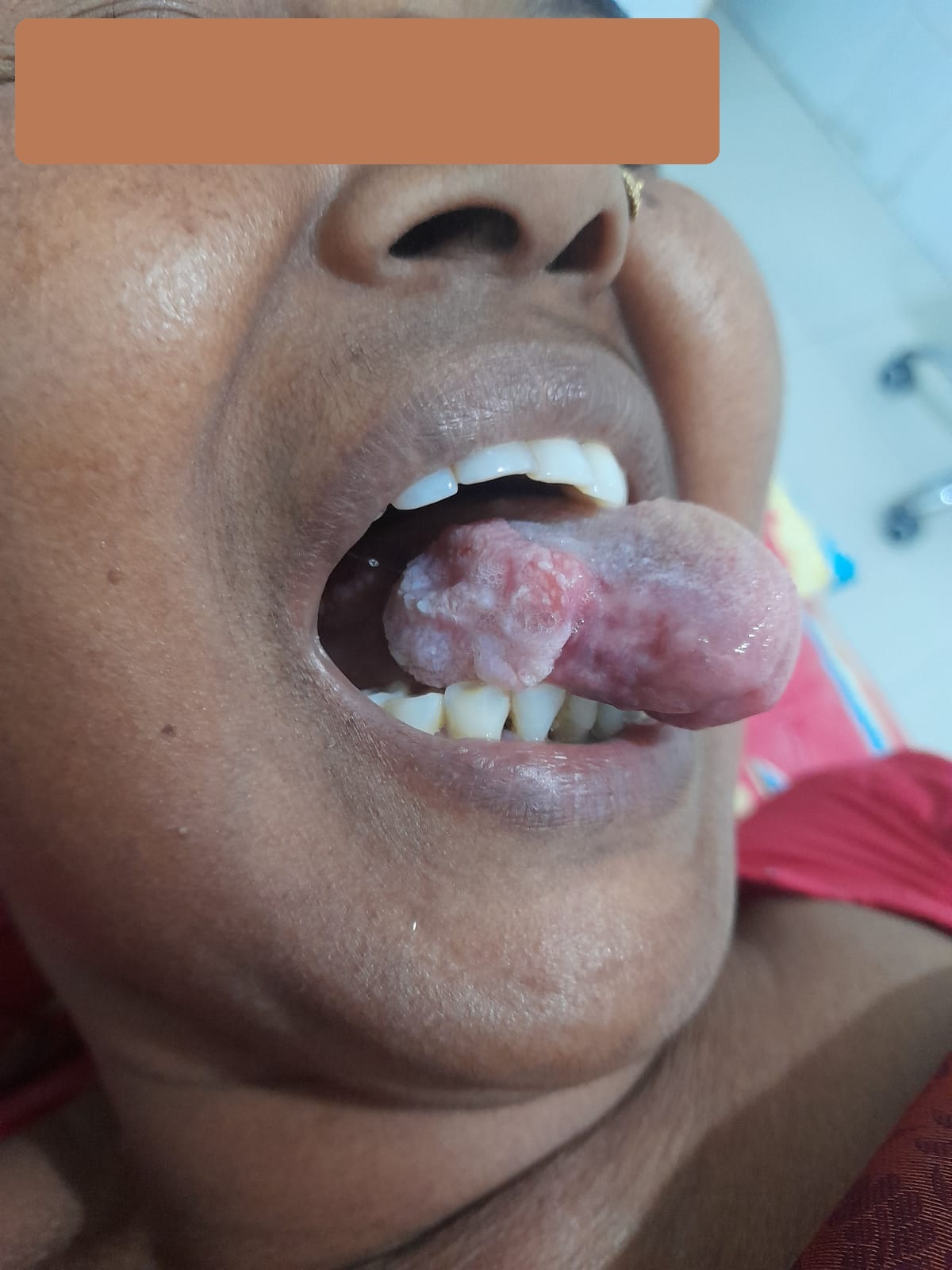 WhatsApp Image 2024-12-22 at 1.56.12 AM