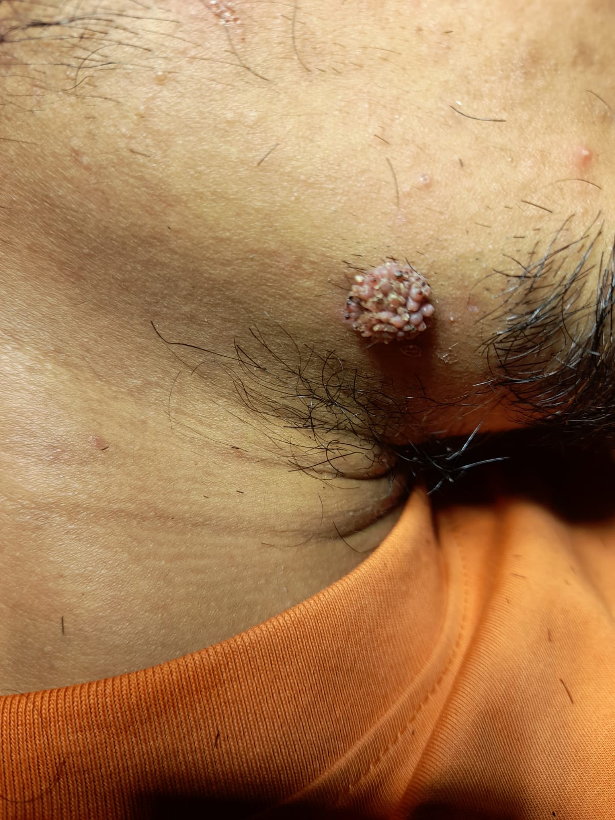 ebd65c0f-5b78-4356-bd1a-b3c8c872100f